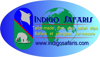 Indigo Safaris