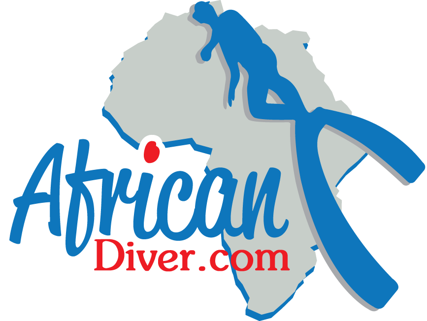 Header Logo
