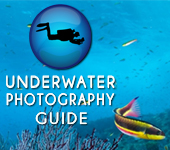 Underwater Photography Guide