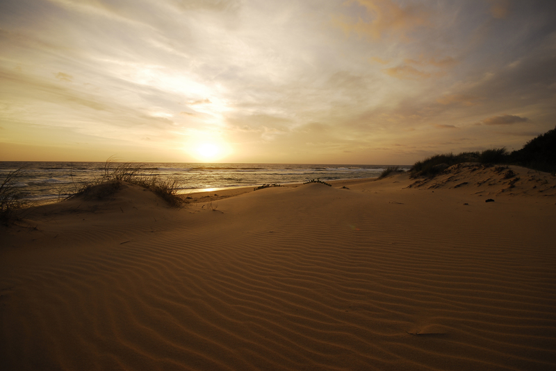 Tofo, the place of tranquility