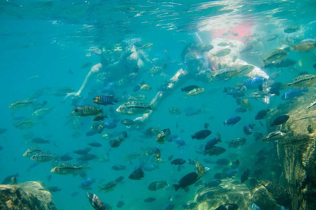 Diving Lake Malawi